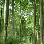 Casa vacanze Le Envermeu